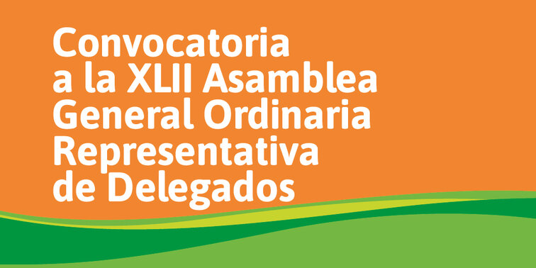 XLII Asamblea General Ordinaria