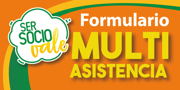 Multiasistencia